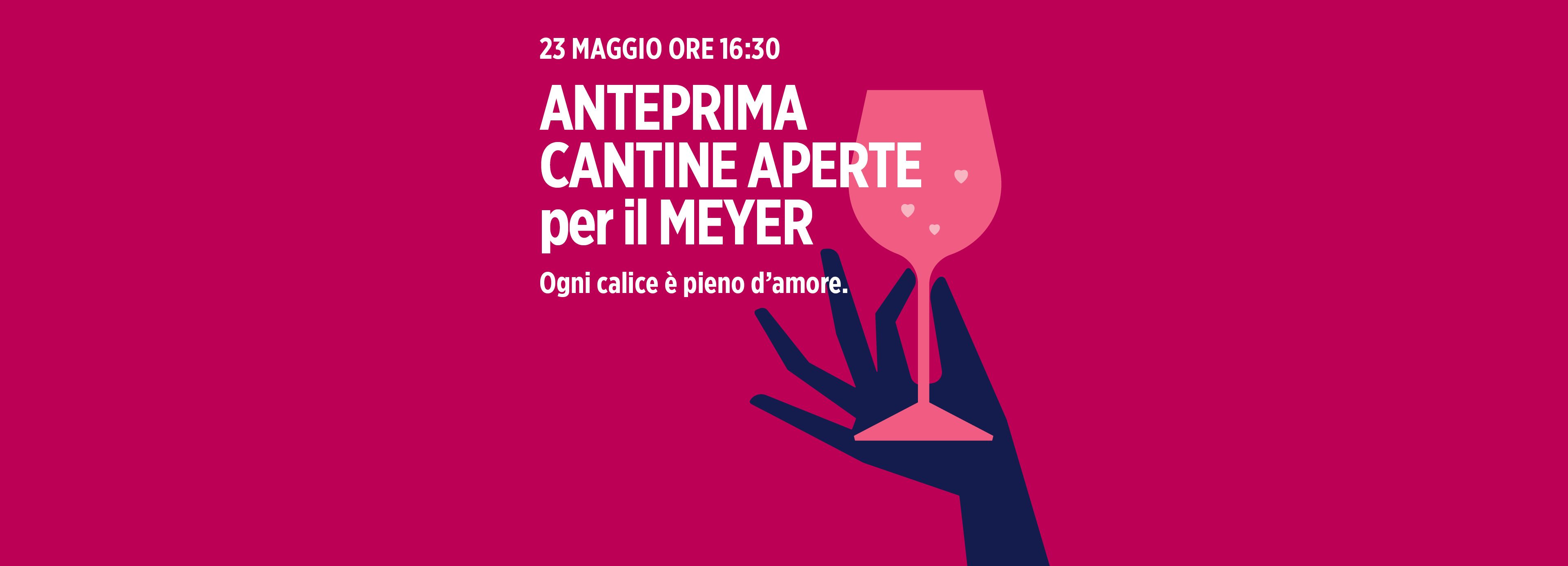 Per il quarto anno consecutivo, il Valdichiana Designer Village è orgoglioso di ospitare Anteprima Cantine Aperte a favore dell’Ospedale pediatrico Meyer in collaborazione con Movimento Turismo del Vino Toscana, Umbria ed Emilia-Romagna. 